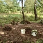 Aufräumen im Außengelände