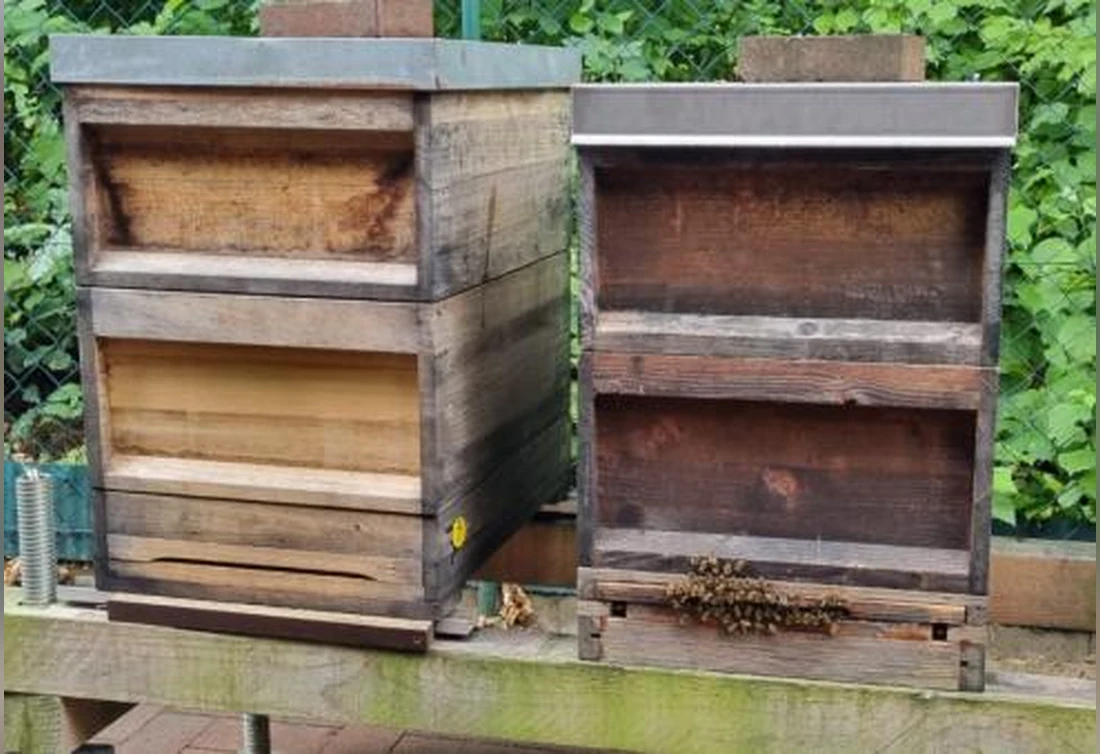 Hobby Imkerei, Regionaler Honig & Bienenwachskerzen – beim Wohlfühltag Holzhausen am 10. Oktober 2026 Hobby Imkerei, Regionaler Honig & Bienenwachskerzen – beim Wohlfühltag Holzhausen am 10. Oktober 2026
