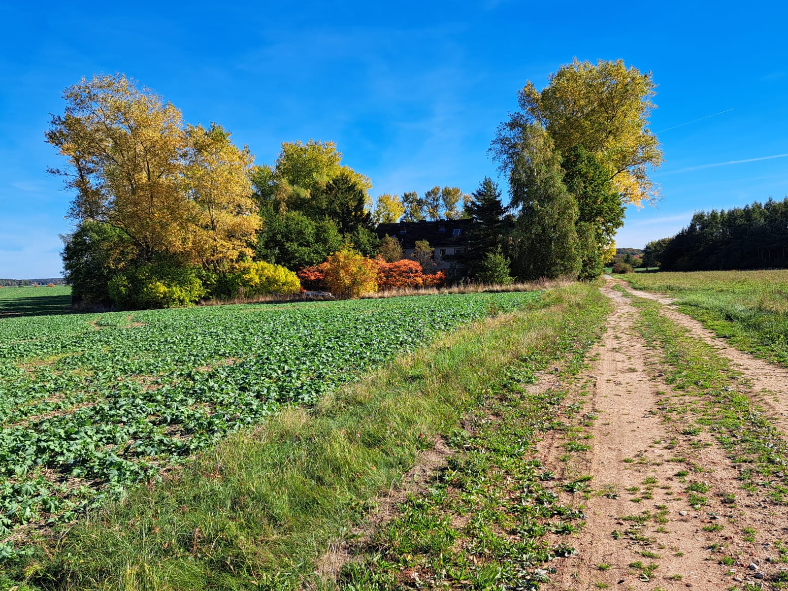 Leben im Yoga- und Seminarzentrum - Stille, Natur und Gemeinschaft (Westliche Altmark) 8 Herbst